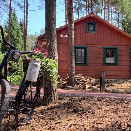 Waldhaus Hilde Villa Suderburg Exteriör bild