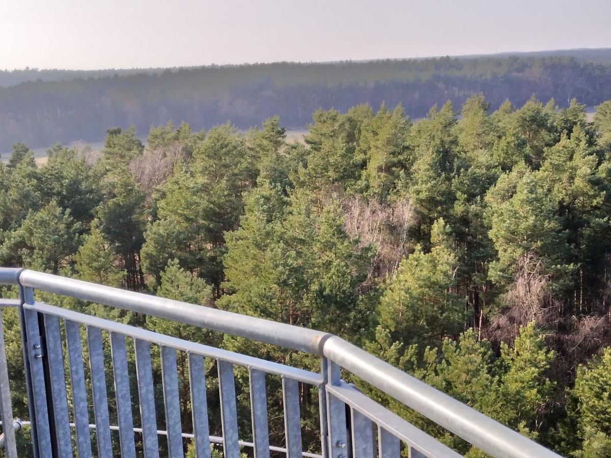 Waldhaus Hilde Villa Suderburg Exteriör bild