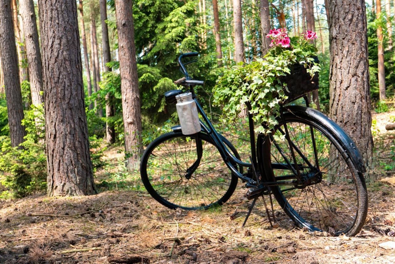 Waldhaus Hilde Villa Suderburg Exteriör bild