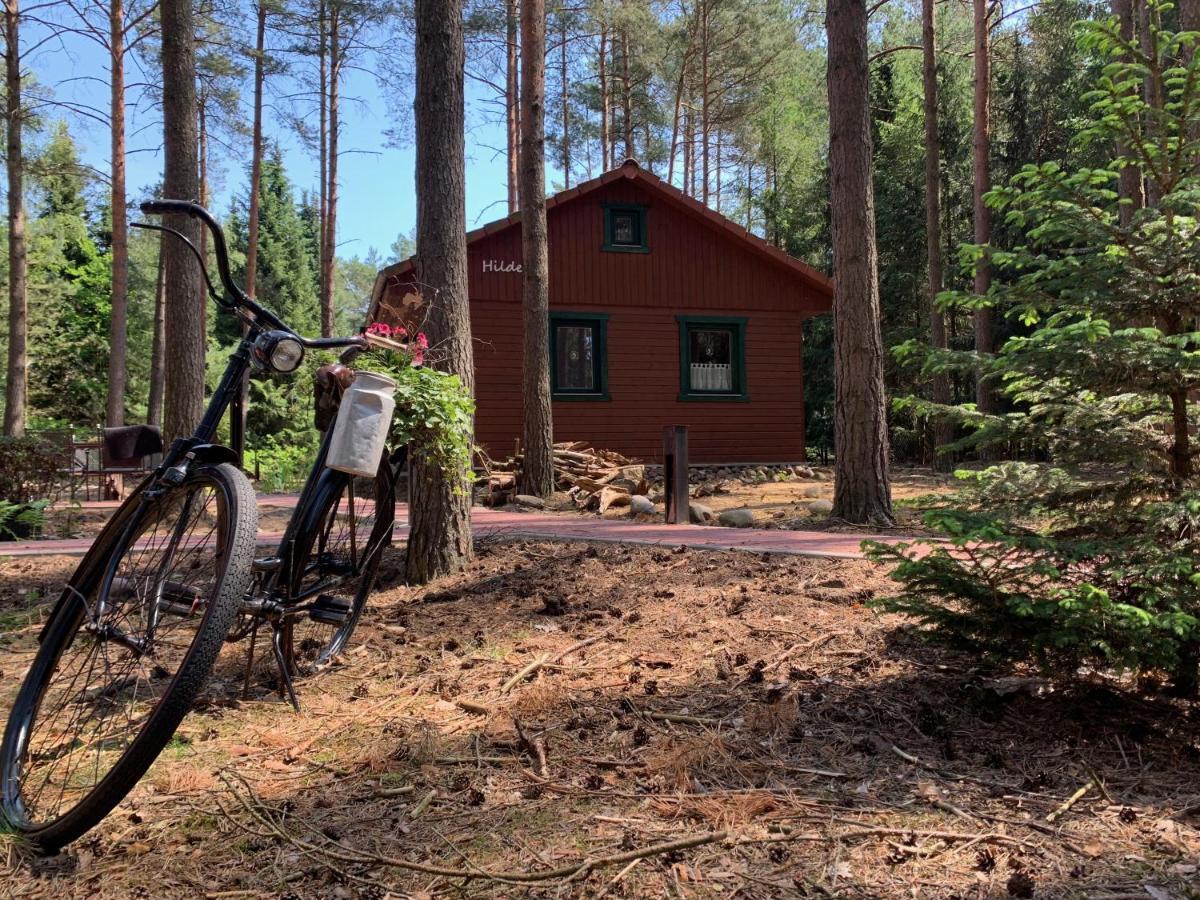 Waldhaus Hilde Villa Suderburg Exteriör bild