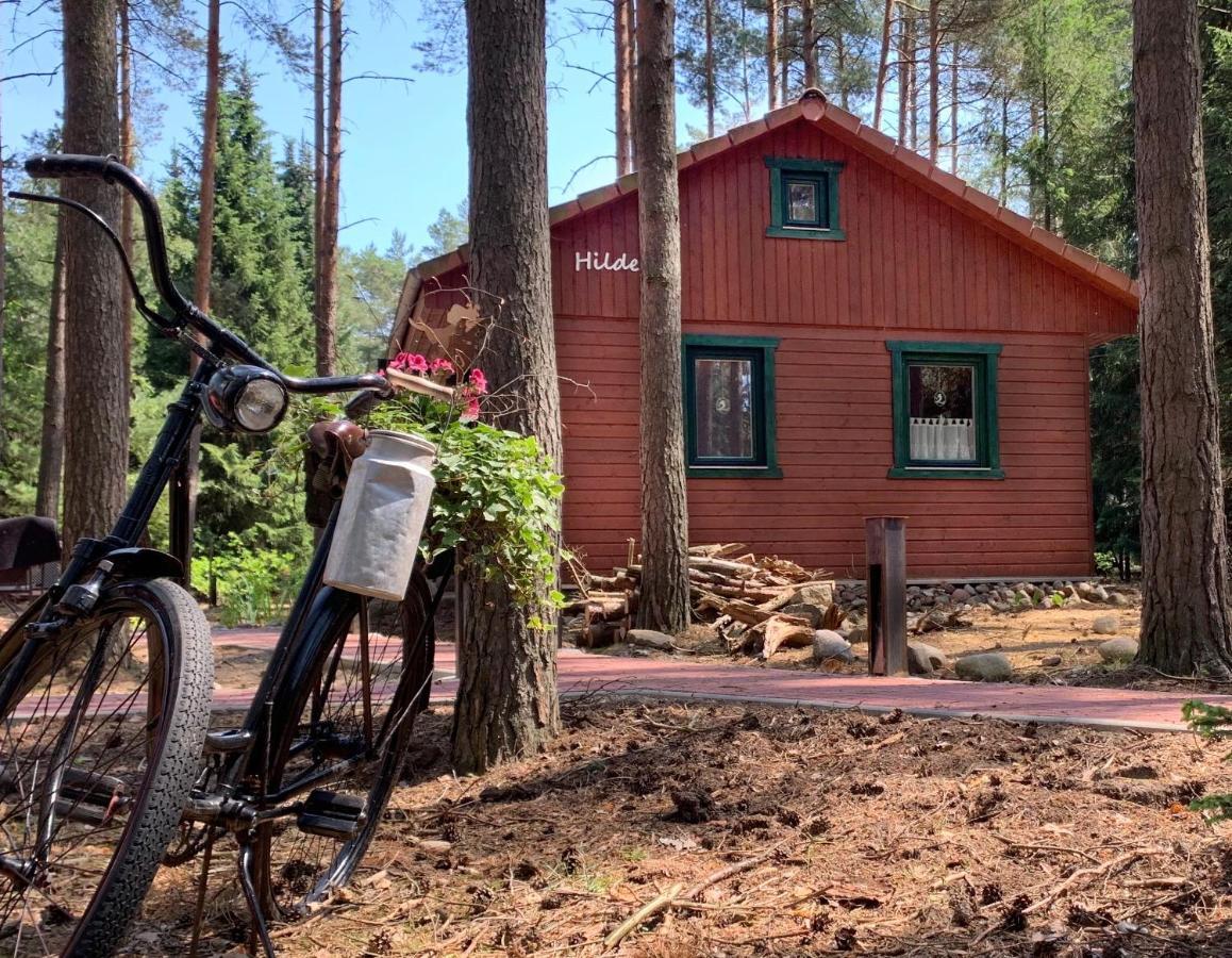 Waldhaus Hilde Villa Suderburg Exteriör bild